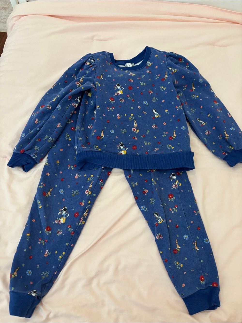 Janie and Jack Blue Floral Character Pajama Set